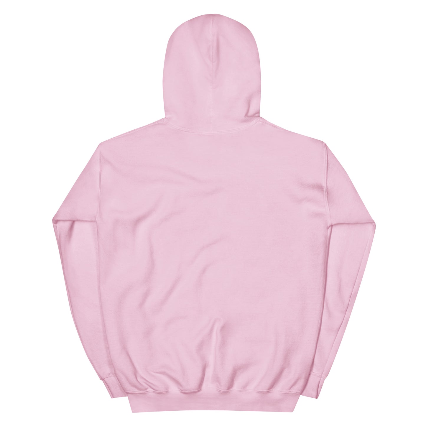 OSA SKATE Hoodie